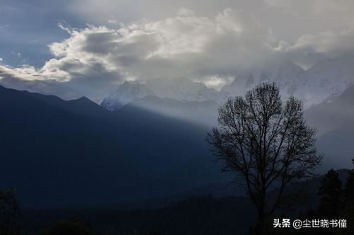 8月16晚上下雨的诗词