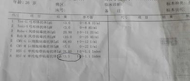 孕妇torch检查igg阳性