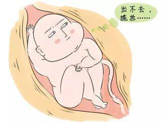 怀孕期间如何确保胎儿健康