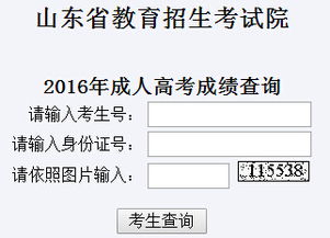 山东成人高考录取查询网址