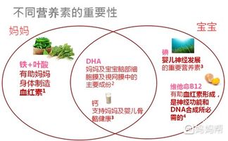 孕期多种营养素应该如何补充呢