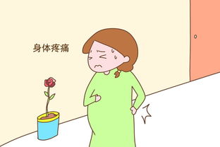 孕期便秘解决办法