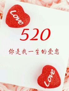 520表白情话最暖心长句