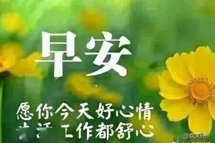 给情人的早安暖心短句