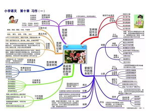 怎么画思维导图