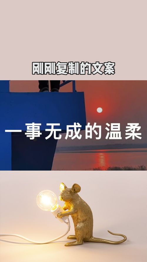 送巧克力的话语