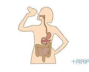 怀胎十月身体有哪些异常变化呢