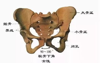 孕妇盆骨痛是什么原因引起的