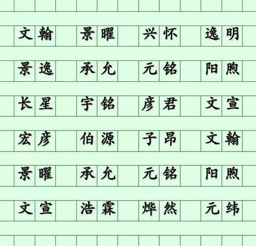 木字旁的字都有什么?