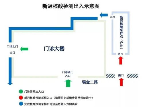 核酸检测电子版多久出来？