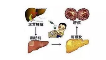 月经量少需要检查哪些项目多少钱