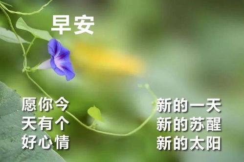 清晨简单的早安撩人情话