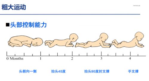 男孩正常发育时间