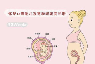 怀孕10天会有感觉吗图片