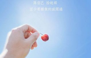 创业励志语录经典短句2020