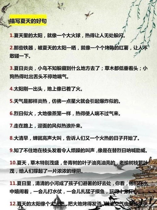 夏天的好词好句大全