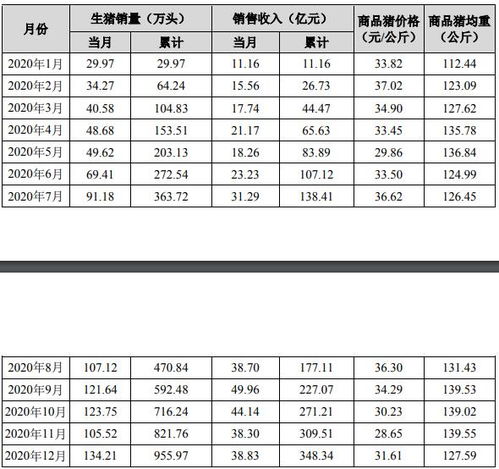 2019年6月11日出生的男孩