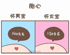 教你辨别男宝和女宝视频