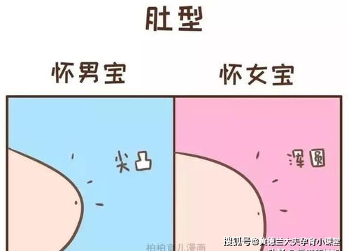 孕妇胸围变化表