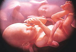 胎教对胎儿的影响有什么影响