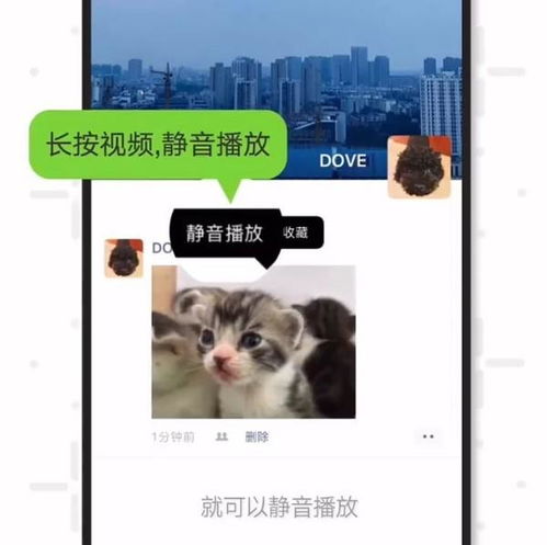 520发的朋友圈短句