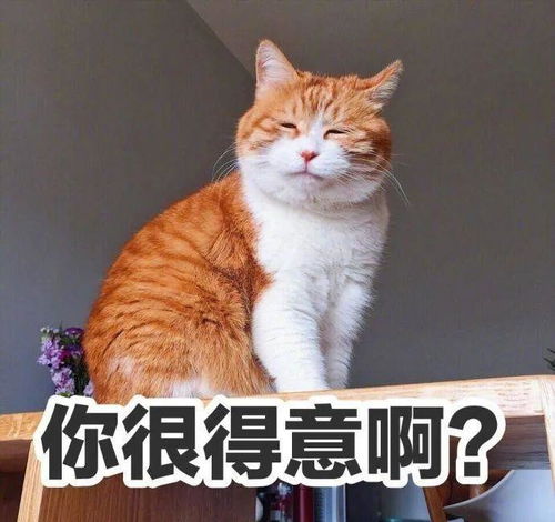 被猫抓了几道痕有没有关系