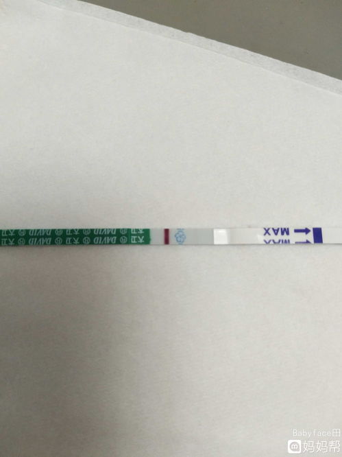 请问怀孕试纸什么时候测最合适