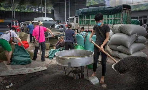 天气冷烤火的说说