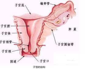 女性尿道炎一般是什么原因引起的