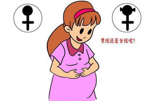 容易生男孩的女人有什么特征