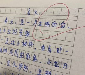 二年级小学生自己给自己的寄语怎么写