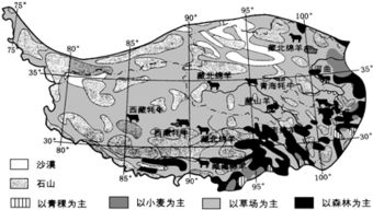 畜牧业用英语怎么说？