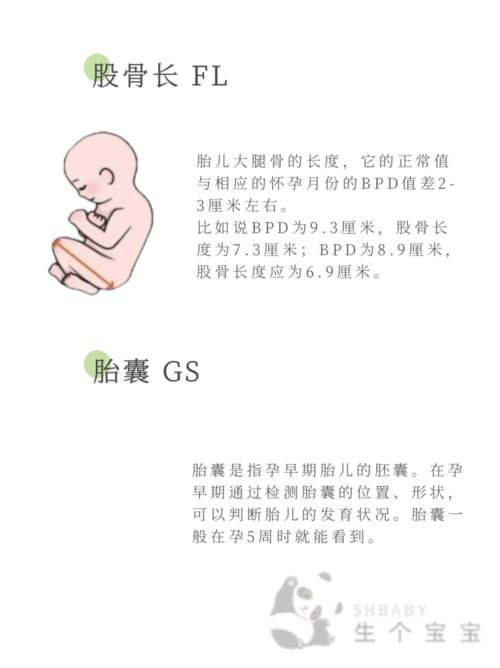 37周双顶径90mm多少斤