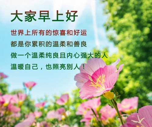 2019最美的早安祝福图片及语言