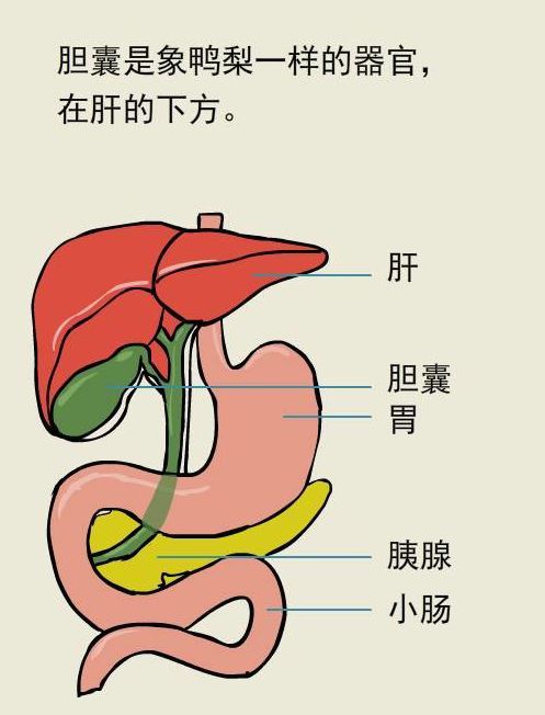 孕期存在许多不稳定因素怎么办