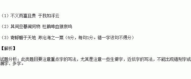 形容2020年太难了的句子