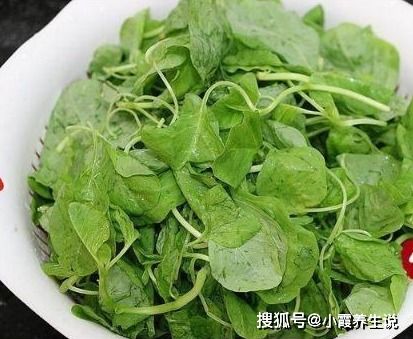 宫寒可以吃冬苋菜吗