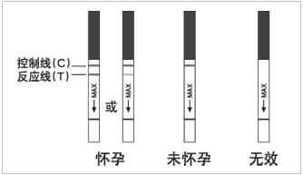 请问用试纸测试怀孕最佳时间是什么时候