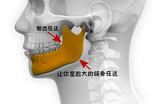 牙齿问题拔牙等有医保卡能报销吗