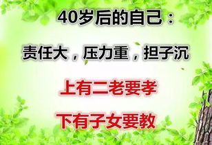 赞美自家小菜园的句子