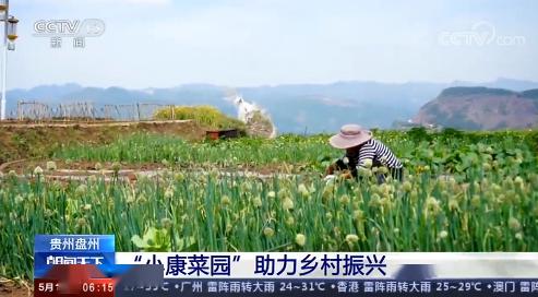 赞美自家小菜园的句子