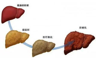 卵黄囊几周消失？