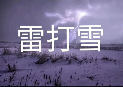 雷打雪民间说法是什么？