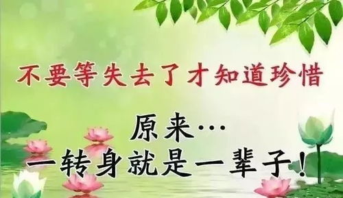 学会珍惜的唯美句子