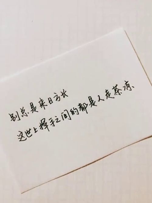 学会珍惜的唯美句子