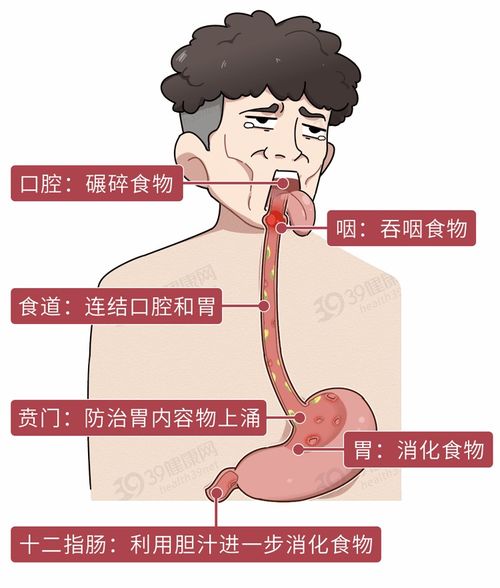 孕晚期烧心反酸怎么办