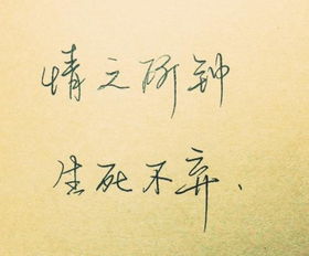 情感句子经典语录