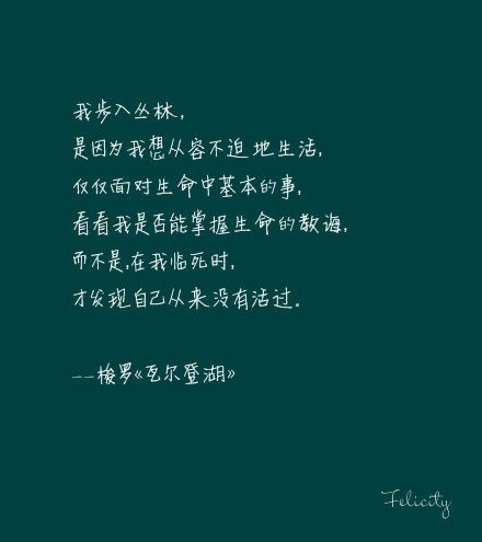 期待未来的句子唯美短句