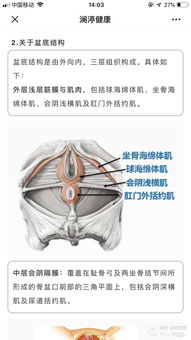 产后盆底肌松弛，快慢肌分值都很低，医生说让我做修复，没时间去医院，