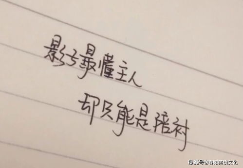 悲伤逆流成河的文案